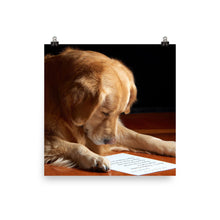 Dog Reading poster