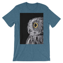 Owl t-shirt