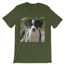 Dog t-shirt