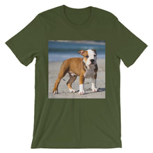 Dog t-shirt