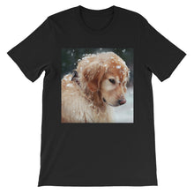 Dog t-shirt