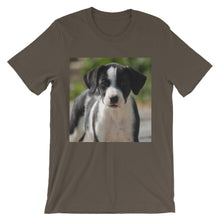Dog t-shirt