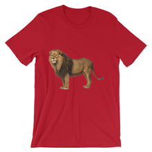 Lion t-shirt