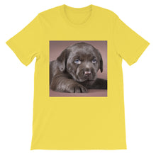 Puppy t-shirt