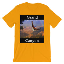 Grand Canyon t-shirt