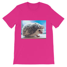 Hedgehog t-shirt