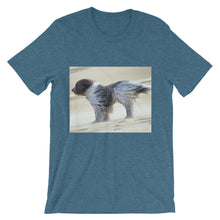 Dog t-shirt