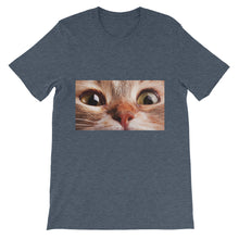 Cat t-shirt