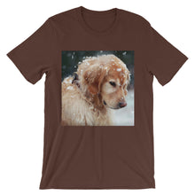 Dog t-shirt