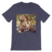 Dog t-shirt