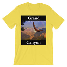 Grand Canyon t-shirt