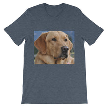 Dog t-shirt