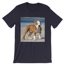 Dog t-shirt