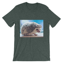 Hedgehog t-shirt