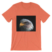 American Eagle t-shirt