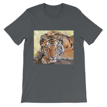Tiger t-shirt