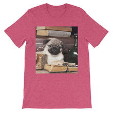 Pug t-shirt