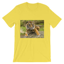 Endangered Species t-shirt