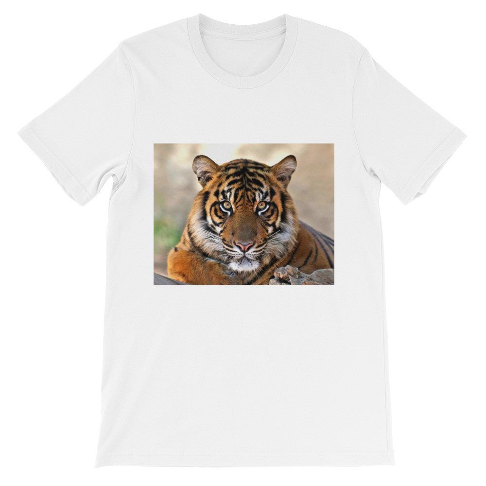 Tiger t-shirt