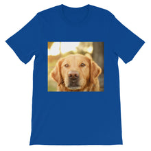 Dog t-shirt