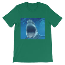 Shark t-shirt