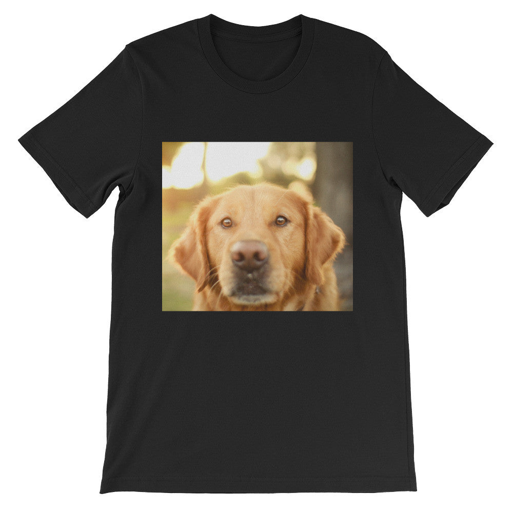 Dog t-shirt