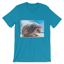 Hedgehog t-shirt