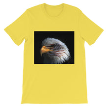 American Eagle t-shirt