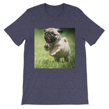Pug t-shirt
