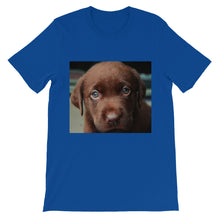 Puppy t-shirt