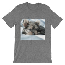 Yorkie Puppy t-shirt