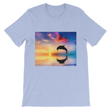 Dolphin t-shirt