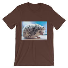 Hedgehog t-shirt