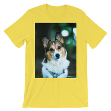 Corgi t-shirt