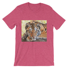 Tiger t-shirt