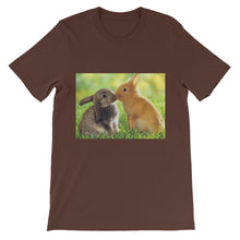 Rabbits t-shirt