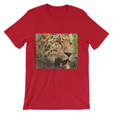 Leopard t-shirt