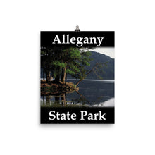 Allegany State Park poster