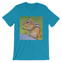 Chipmunk t-shirt