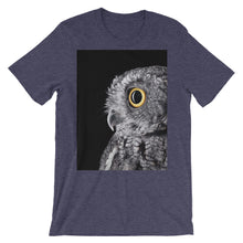 Owl t-shirt
