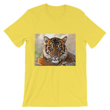 Tiger t-shirt