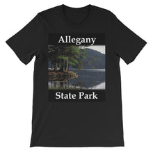 Allegany State Park t-shirt
