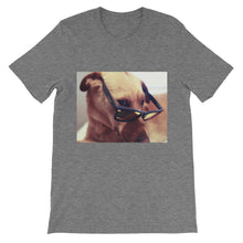 Dog with glasses t-shirt