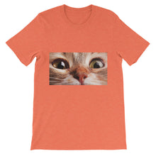 Cat t-shirt