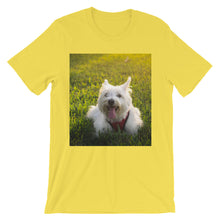 Dog t-shirt