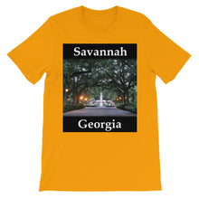 Savannah t-shirt