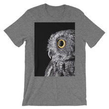 Owl t-shirt
