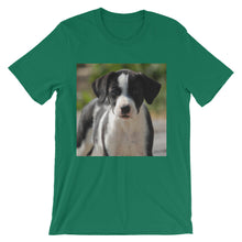 Dog t-shirt