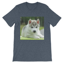 Puppy t-shirt