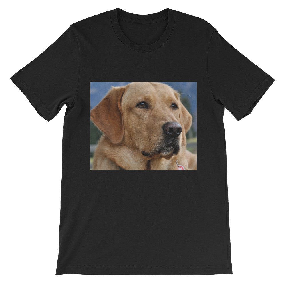 Dog t-shirt